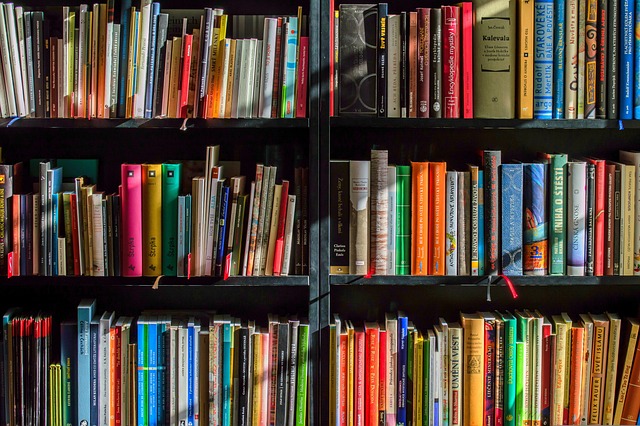 Top tips for curating your personalized romance reading list