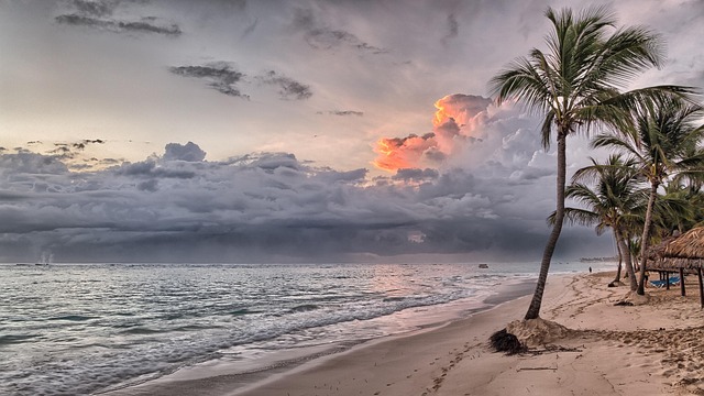 Why Booking Direct Isn't Always the Safest Bet