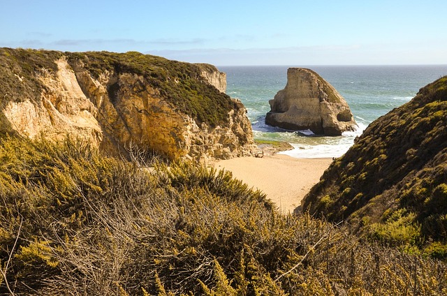 usa, america, california, nature, pacific, pacific coast, highway 1, highway one, summer, sunny, coast, beach