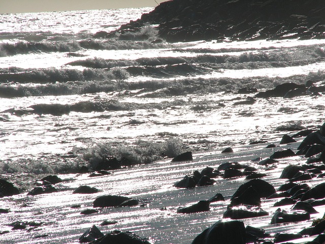pacific ocean, pacific palisades, los angeles, california, beach, rocks shore, tide, surf, relaxation, soothing, waves, shoreline, gray relax, gray wave, gray angel, nature, gray waves