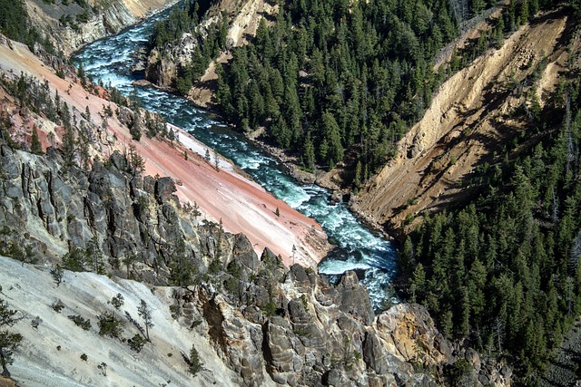 What Routes and Airlines Offer the Best Business Class Value to Yellowstone