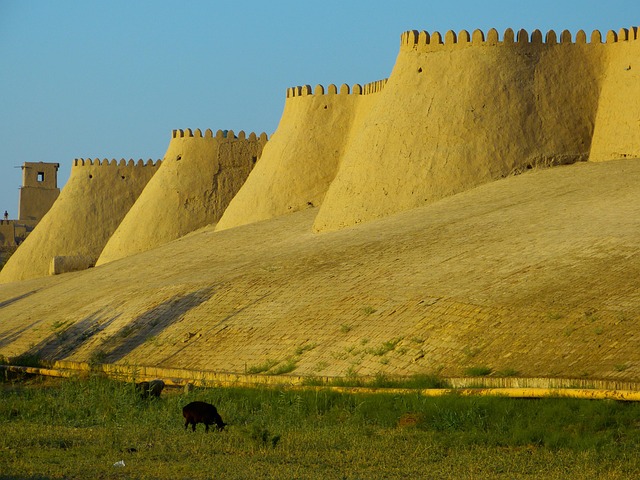 Practical Tips for Your Khiva Adventure