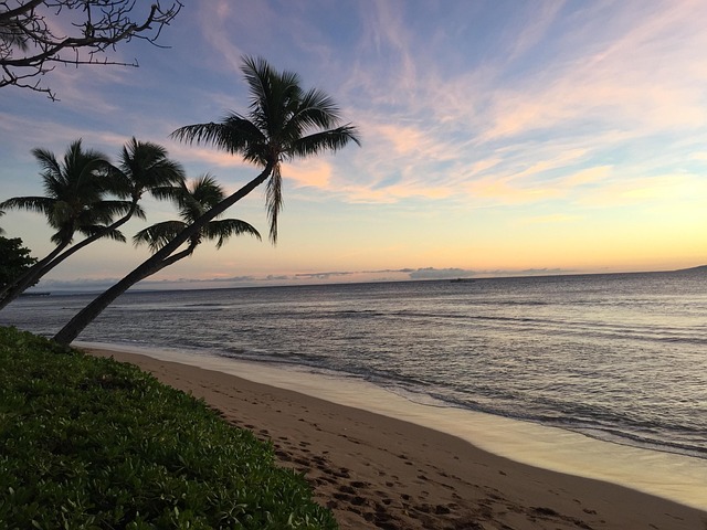 Best Hotel Points Program for Maui