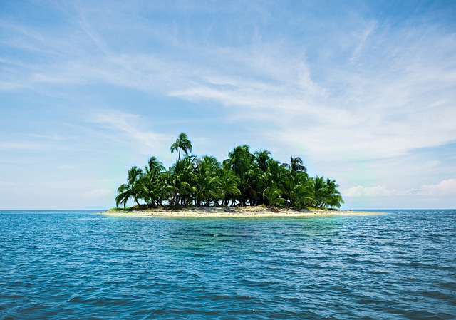 Protecting Your Cash With Credit Card Trip Insurance
