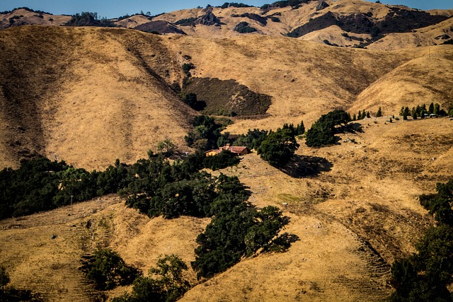 West Coast Road Trip: Best Fall Stops for Flight & Hotel Deals