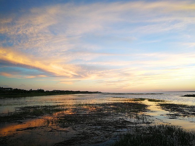 Current flight and hotel trends for Hamptons travel through 2026