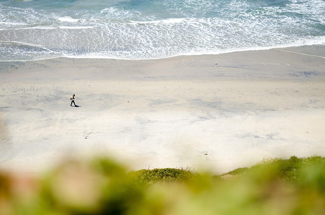 Case Study Comparing Booking Strategies for Big Sur