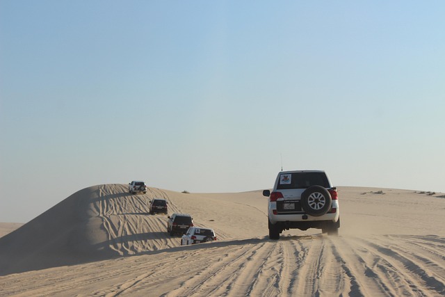 doha, nature, qatar, desert