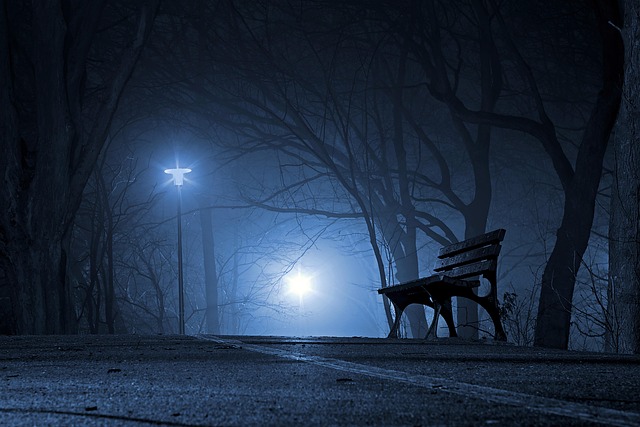 park, bench, night, evening, fog, mist, nature, rain, raining, outdoors, dark, wyspa bolko, opole, poland