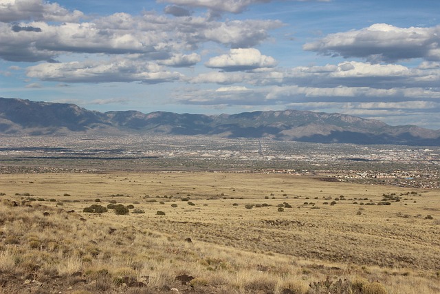 Key Documents Every Albuquerque Family Needs for Their Estate Plan