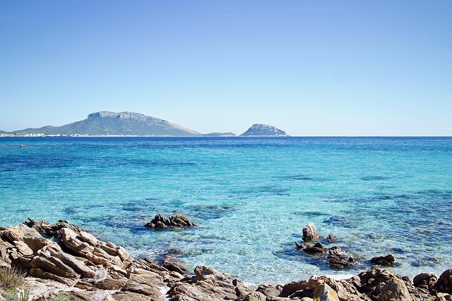 Which Local Secrets Make the Trip Unforgettable for Kids