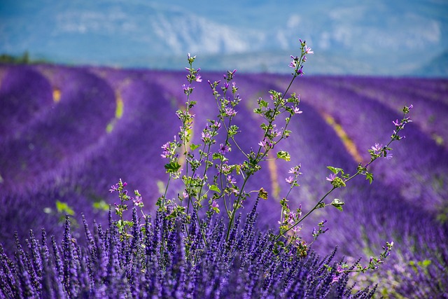 What Does Europe's Heat-Driven Travel Landscape Look Like for Autumn 2026 and 2027