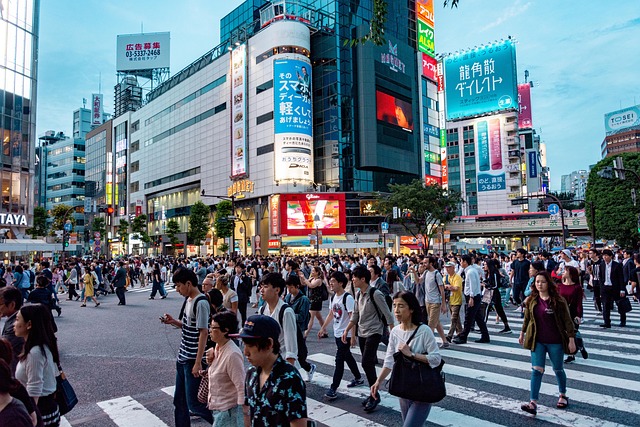 How Can You Start Building Your Own Custom Translation Agent