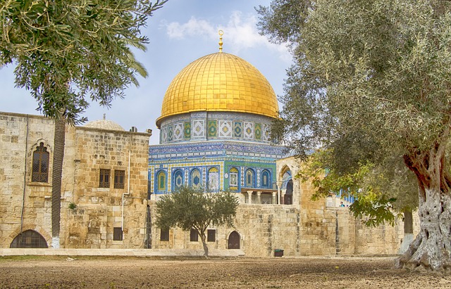 The myth of booking archaeology tours through standard OTAs