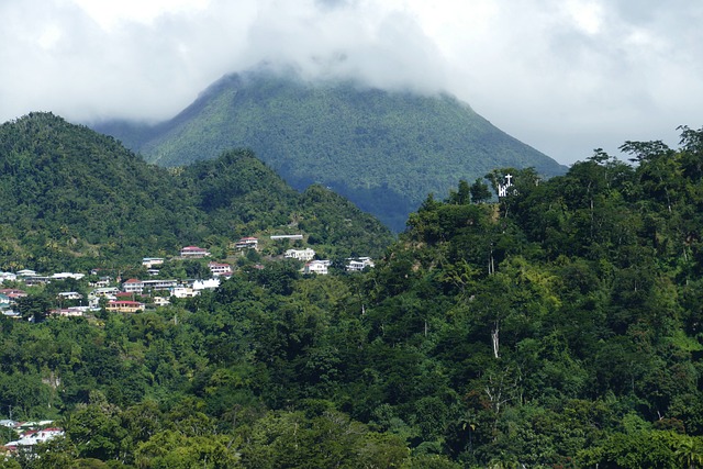 dominica, caribbean, roseau, nature, island, vacations, cruise, panorama, outlook, mountain, landscape, tropical
