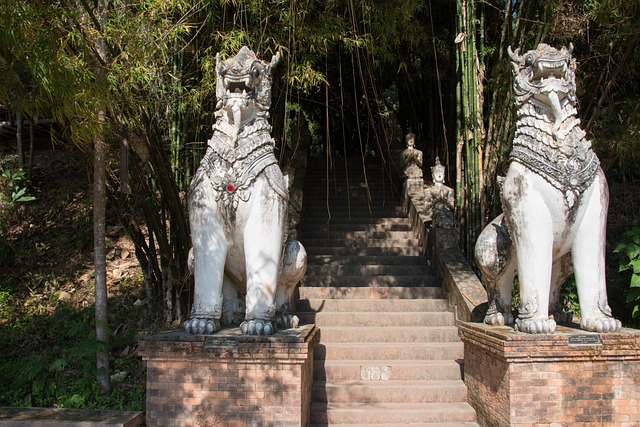 stairs temple, chiang mai, thailand, chiang mai, chiang mai, chiang mai, chiang mai, chiang mai