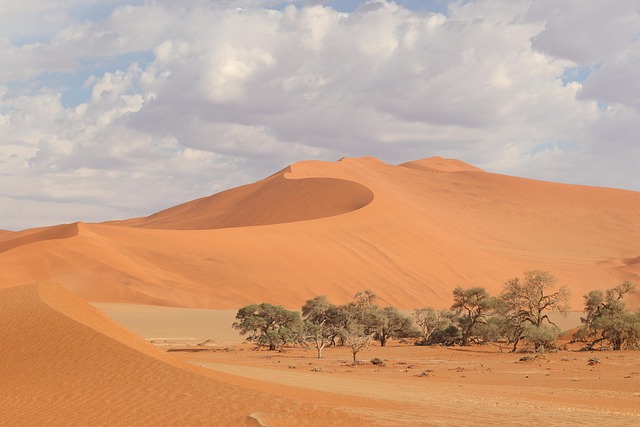 What Are the Real Costs and Fees for Award Flights to Namibia