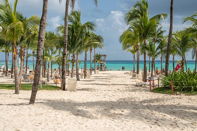 beach, caribbean, paradise, palm trees, nature, mexico, sea, island, resort, holiday