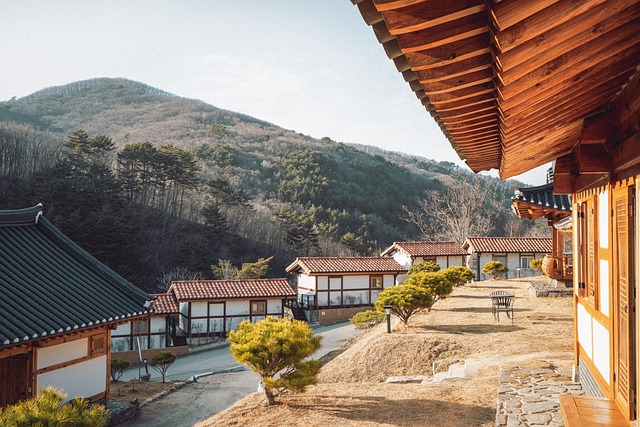 house, building, roof, tradition, mountain, korea, landscape, travel, nature, winter, korea, korea, korea, korea, korea