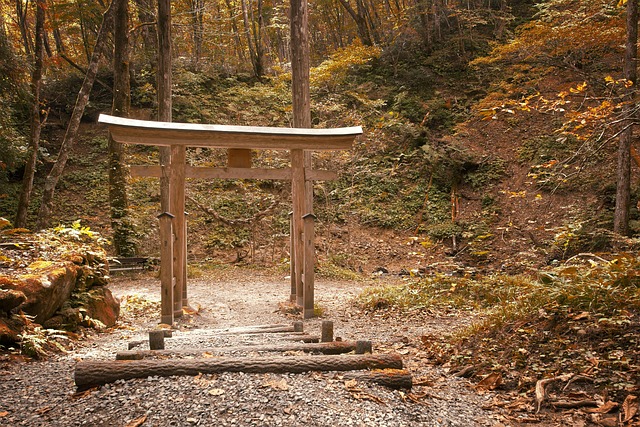 Evaluating the Trade-Offs of Japanese Urban Life