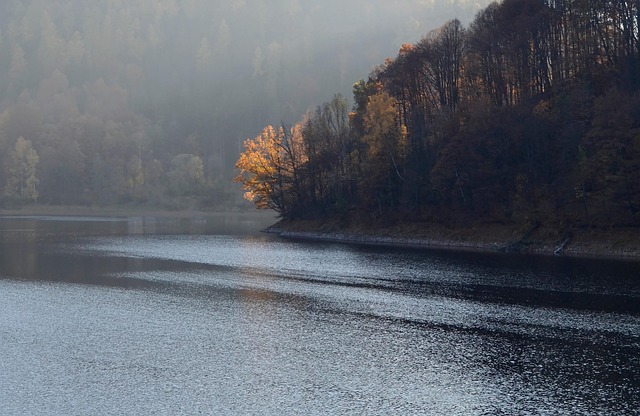 lake, forest, autumn, fog, trees, hill, fall, landscape, nature, water, dusk, black water