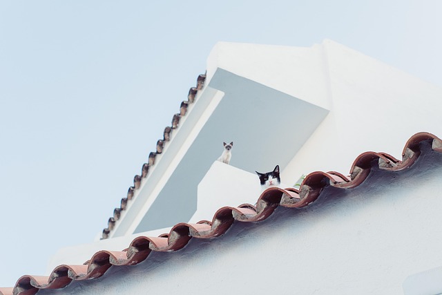 When should you switch from reactive chasing to proactive cash flow management