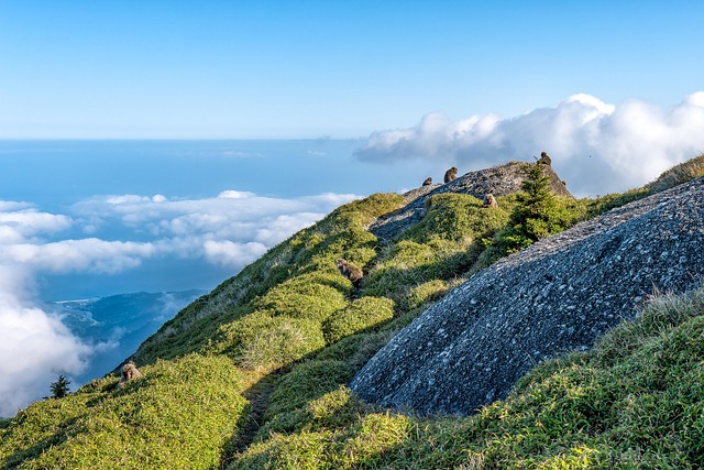 What are the exact entry requirements for US citizens visiting Japan in July 2026