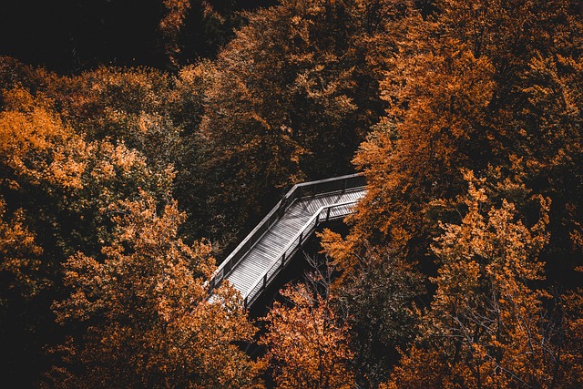 The Total Cost Trap