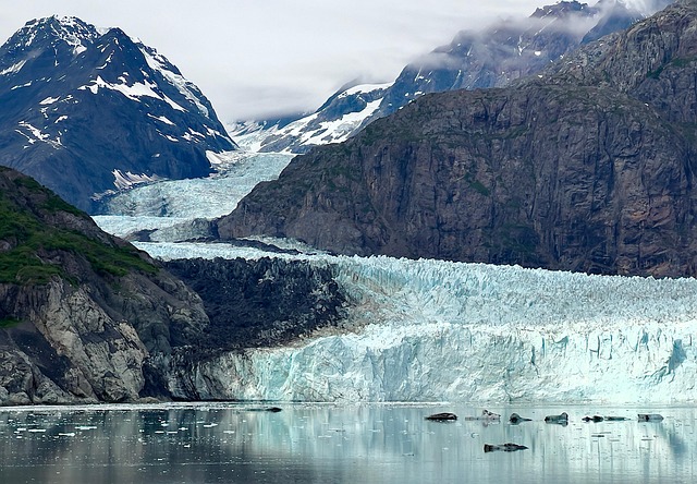 icebergs, glacier, marjorie glacier, glacier bay, alaska, wilderness, frontier, ice, reflection, travel, cruise, nature, cold, snow, mountains