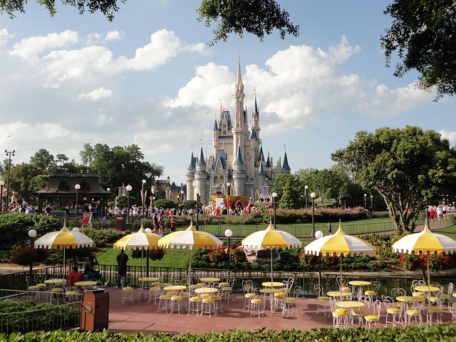 disneyland, disney, castle, fantasy world, florida, amusement park, disneyland, disneyland, disneyland, disneyland, disneyland, disney